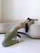 Komplet sportowy, dw&oacute;jka: rashguard i legginsy z push-up, Wild Acid, (zielony), S