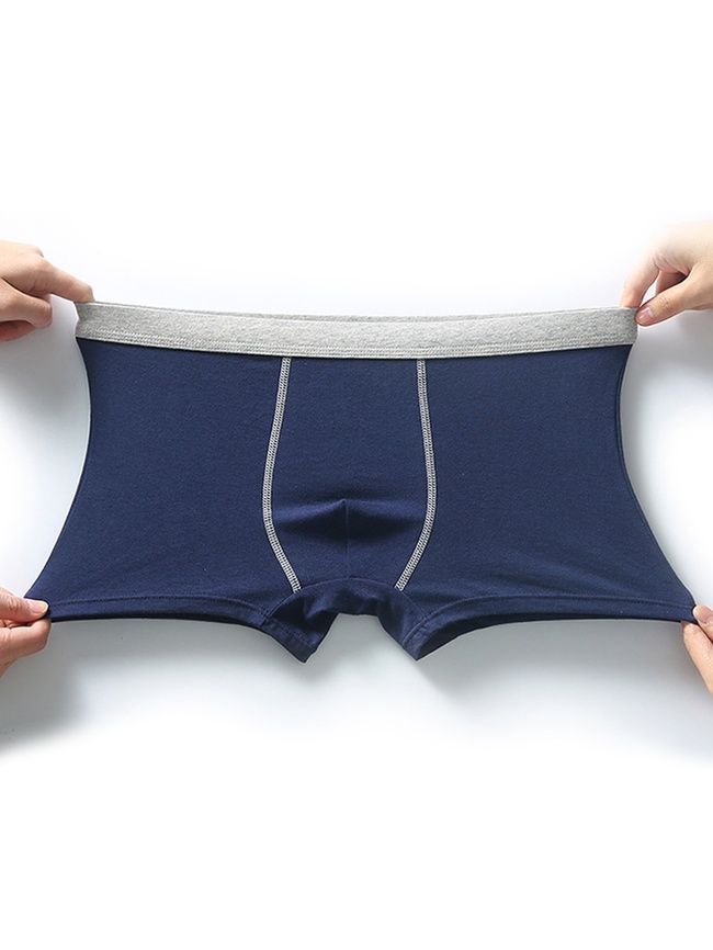 Men's cotton boxer briefs, underwear, Basic Boxers, (maroon + gray belt), S