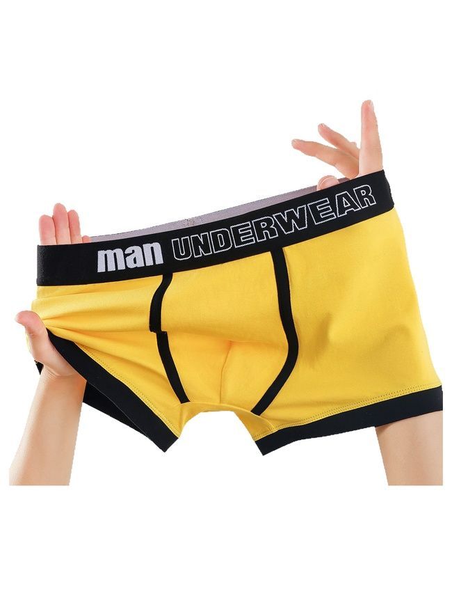 Чоловічі труси боксери бавовняні базові, нижня білизна, Baseline Boxers, (білий), S BF04S фото