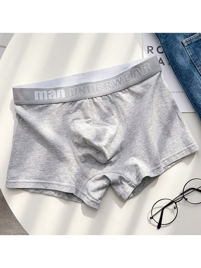 Мужские трусы боксеры хлопковые базовые, нижнее белье, Classic Boxers, (светло-серый), S BC04S фото
